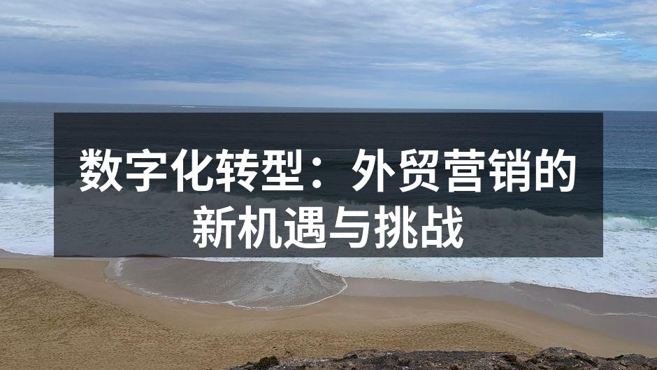 数字化转型：外贸营销的新机遇与挑战