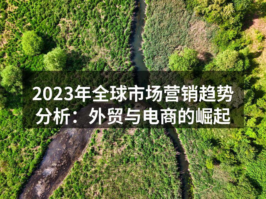 2023年全球市场营销趋势分析：外贸与电商的崛起