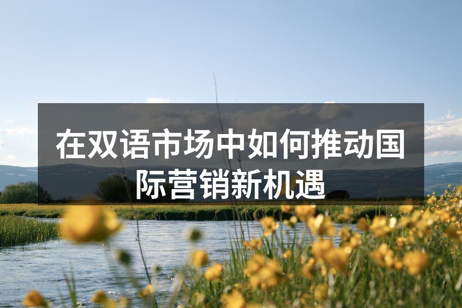 在双语市场中如何推动国际营销新机遇