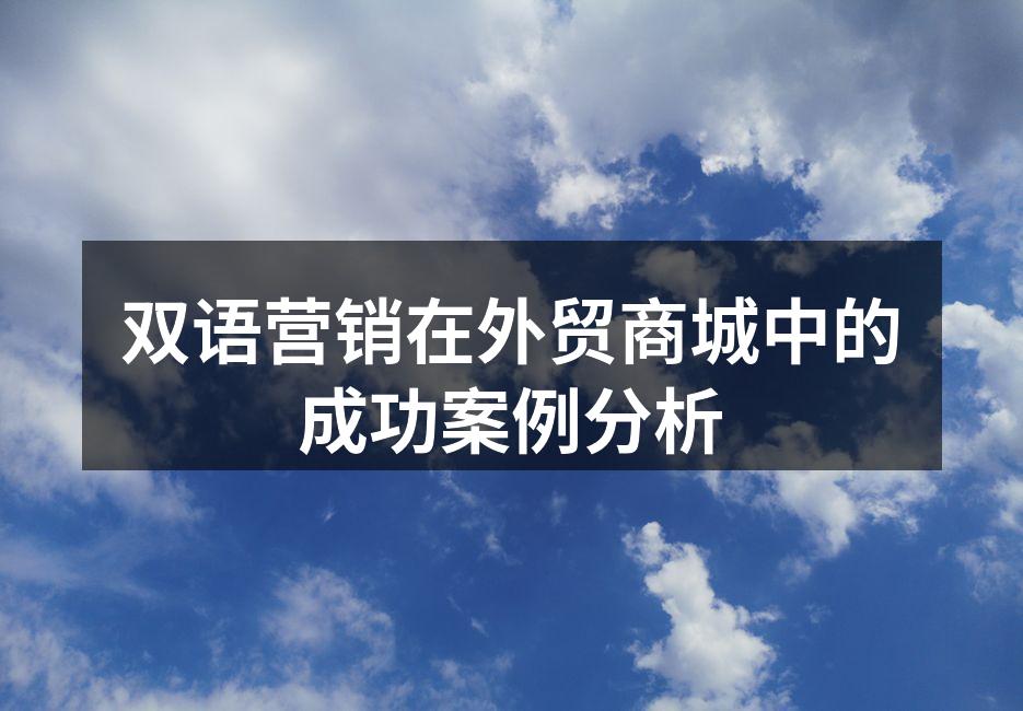 双语营销在外贸商城中的成功案例分析