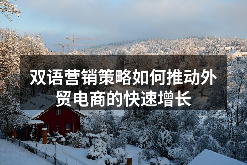 双语营销策略如何推动外贸电商的快速增长