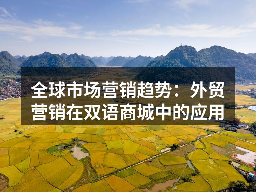 全球市场营销趋势：外贸营销在双语商城中的应用
