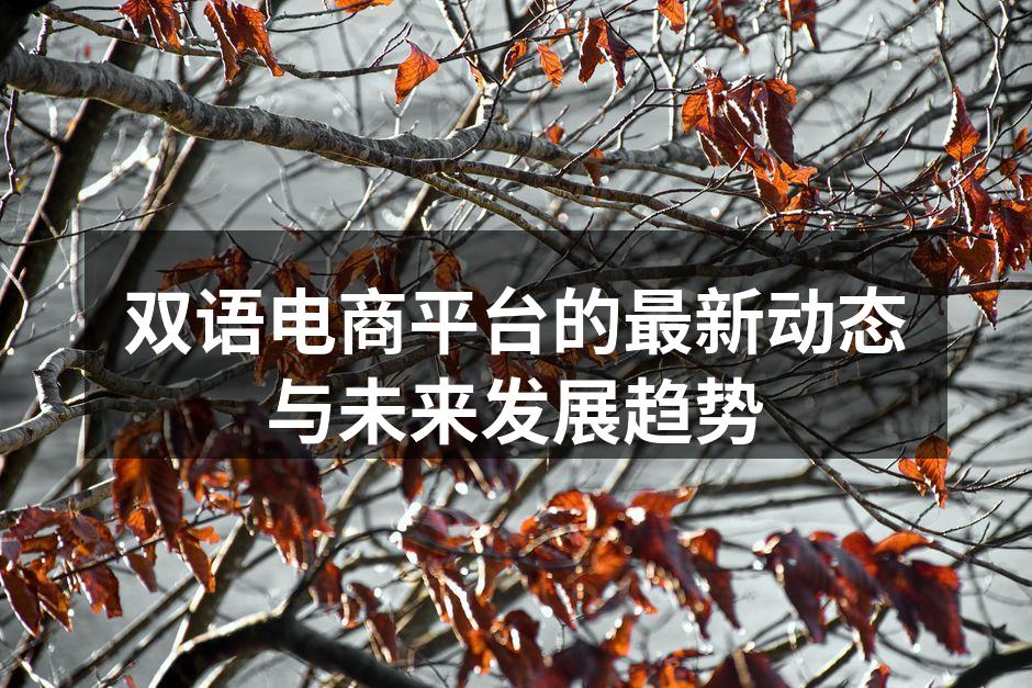 双语电商平台的最新动态与未来发展趋势