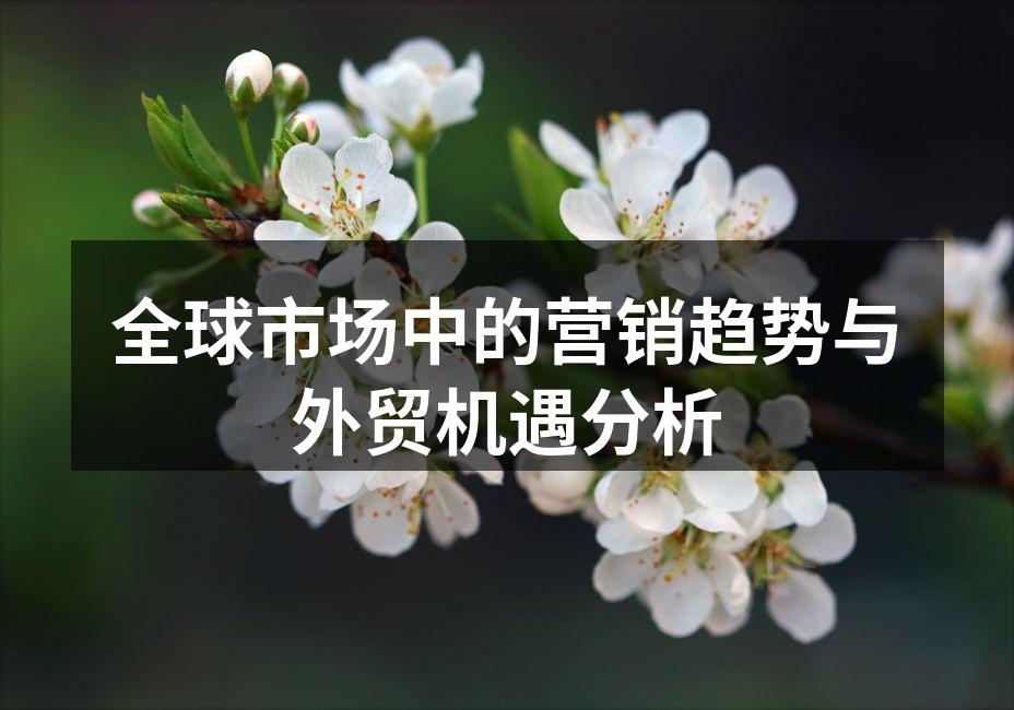 全球市场中的营销趋势与外贸机遇分析