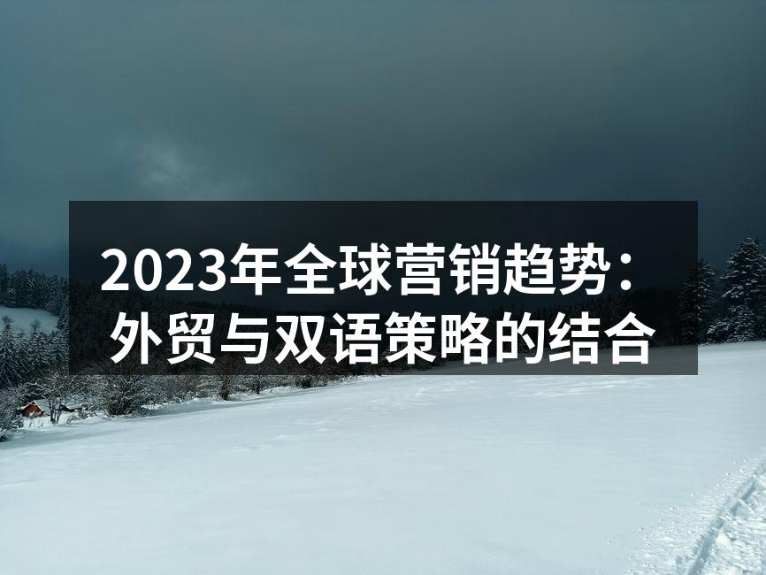 2023年全球营销趋势：外贸与双语策略的结合
